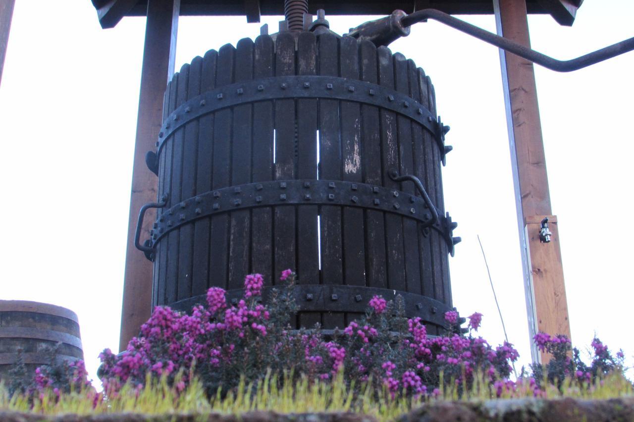 B&B Cascina Rossa Asti Bagian luar foto