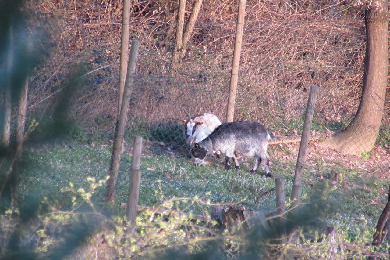 B&B Cascina Rossa Asti Bagian luar foto